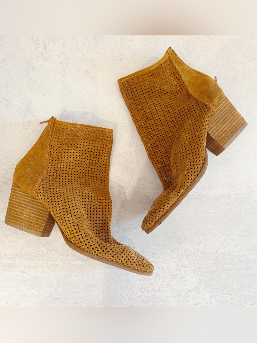 Jeffery Campbell Janelle heeled booties